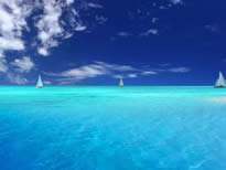 千亿·国际(中国)唯一官方平台