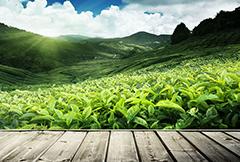 千亿·国际(中国)唯一官方平台